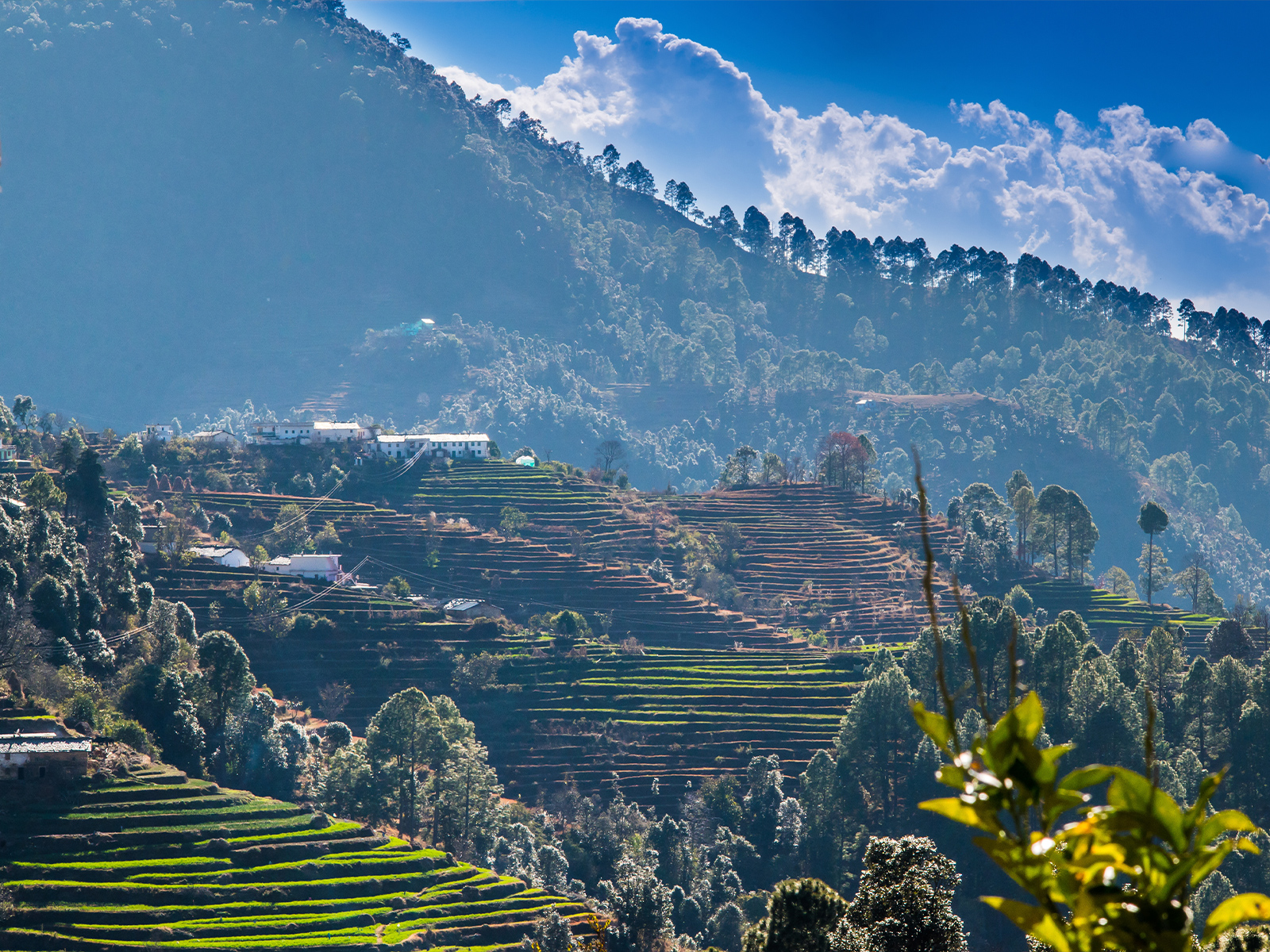 URNA Pithoragarh