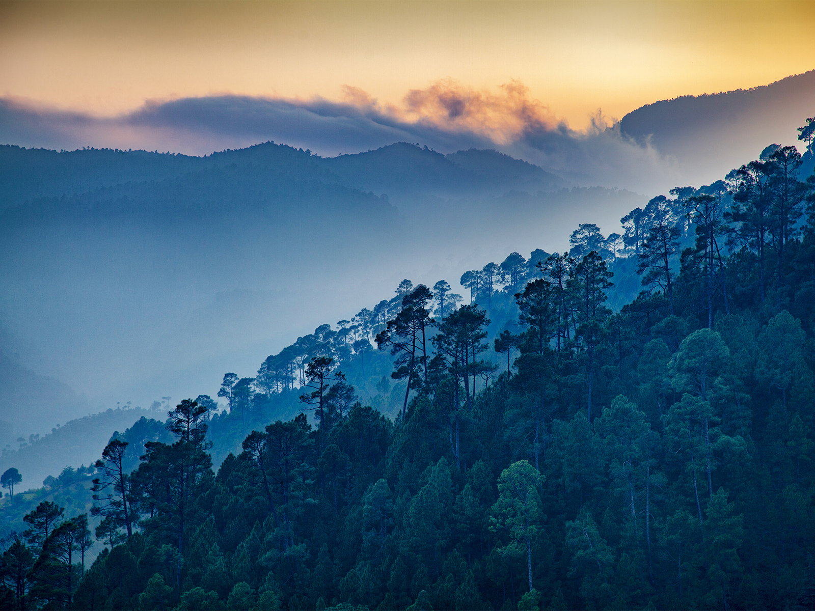 URNA Ranikhet